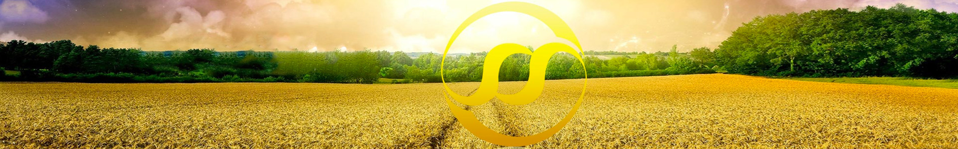 ����������¼���