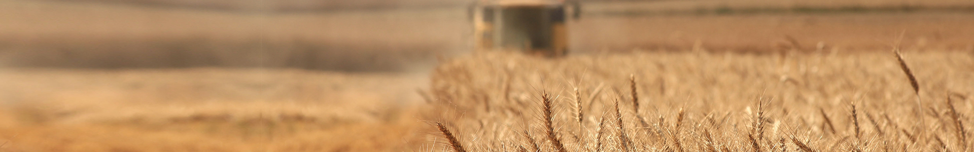 ����������¼���