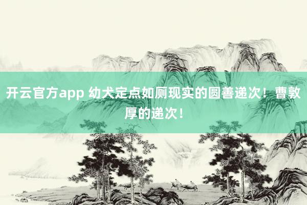 开云官方app 幼犬定点如厕现实的圆善递次！曹敦厚的递次！