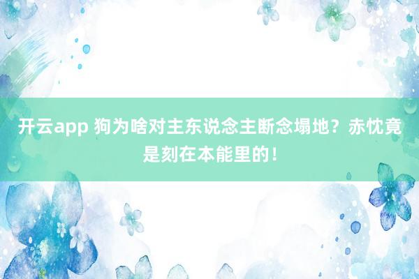 开云app 狗为啥对主东说念主断念塌地？赤忱竟是刻在本能里的！