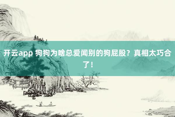 开云app 狗狗为啥总爱闻别的狗屁股？真相太巧合了！