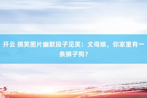 开云 搞笑图片幽默段子见笑：丈母娘，你家里有一条狮子狗？