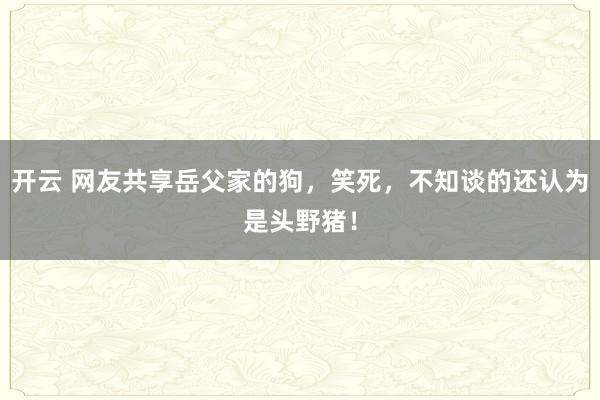 开云 网友共享岳父家的狗，笑死，不知谈的还认为是头野猪！