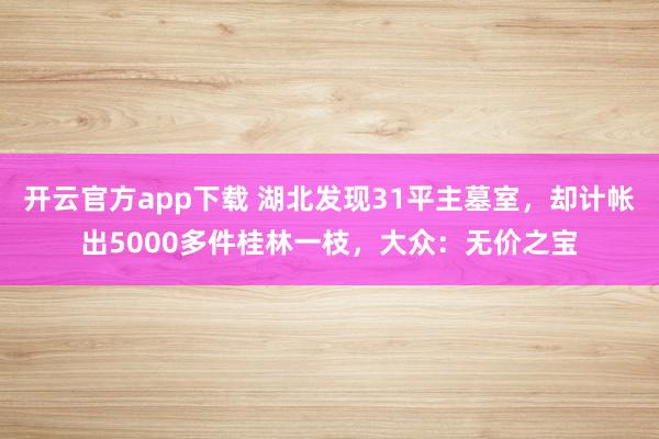 开云官方app下载 湖北发现31平主墓室，却计帐出5000多件桂林一枝，大众：无价之宝