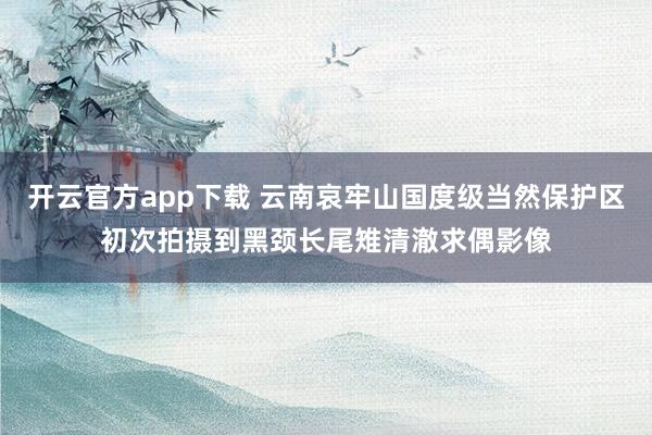 开云官方app下载 云南哀牢山国度级当然保护区初次拍摄到黑颈长尾雉清澈求偶影像