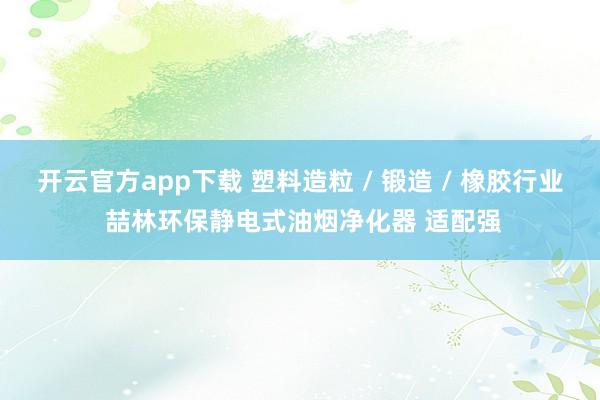 开云官方app下载 塑料造粒 / 锻造 / 橡胶行业 喆林环保静电式油烟净化器 适配强