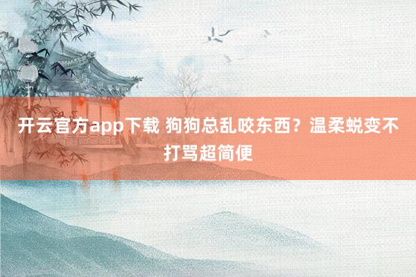 开云官方app下载 狗狗总乱咬东西？温柔蜕变不打骂超简便