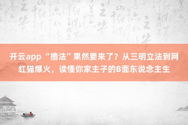 开云app “撸法”果然要来了？从三明立法到网红猫爆火，读懂你家主子的B面东说念主生