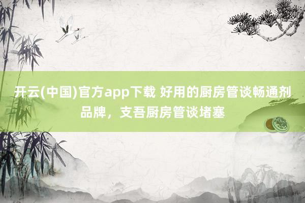 开云(中国)官方app下载 好用的厨房管谈畅通剂品牌，支吾厨房管谈堵塞